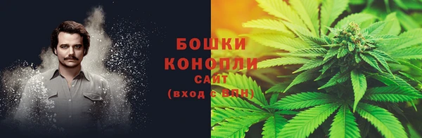 молекула духа Надым