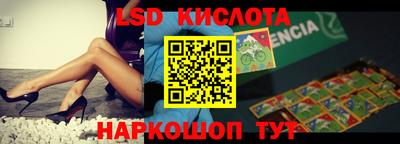 прущие грибы Комсомольск-на-Амуре