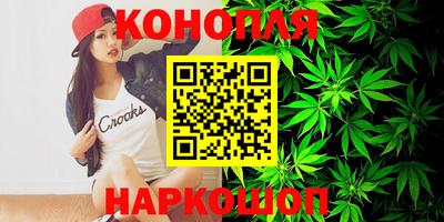 прущие грибы Комсомольск-на-Амуре