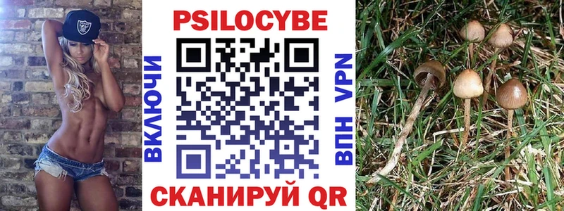 Псилоцибиновые грибы Cubensis  Аксай 