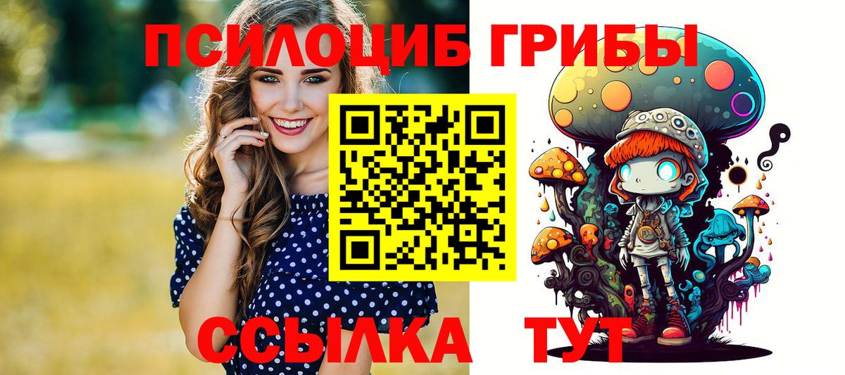 Псилоцибиновые грибы GOLDEN TEACHER Аксай