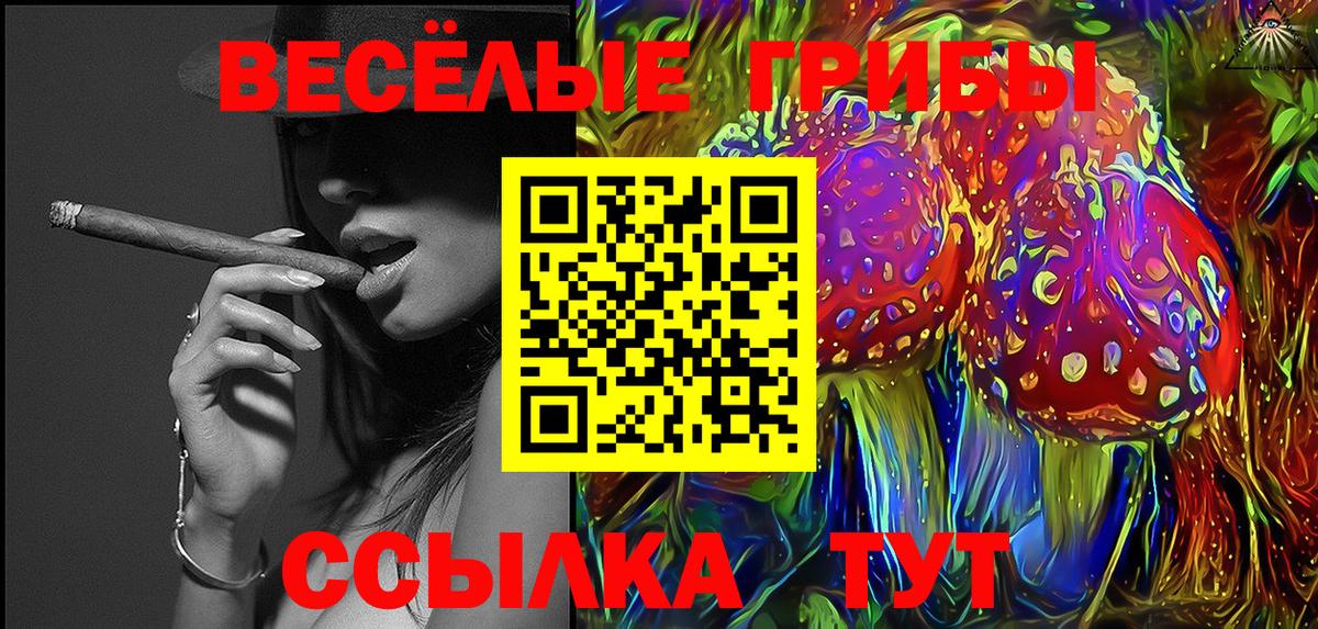 Аксай  Псилоцибиновые грибы MAGIC MUSHROOMS  Вход с VPN 